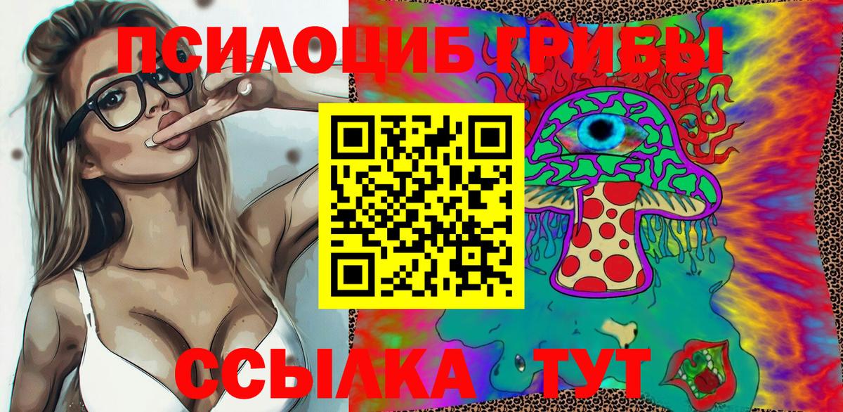 Псилоцибиновые грибы GOLDEN TEACHER  Вход с VPN  где купить наркоту  Балтийск 
